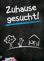 Kleines Haus oder Wohnung mit Garten gesucht Bayern - Stulln Vorschau