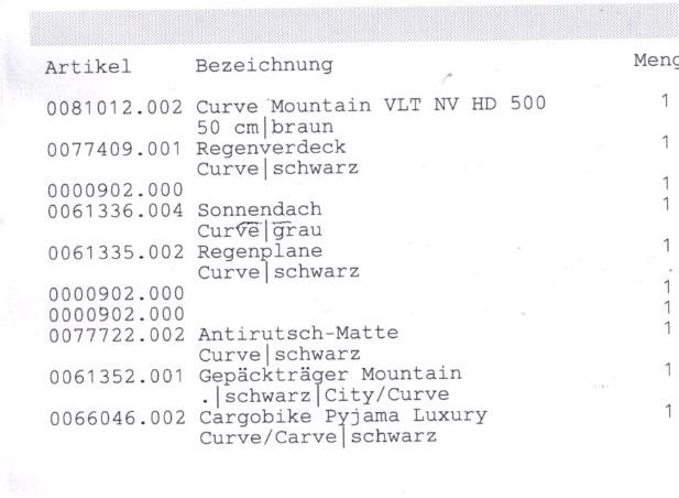 BABBOE CURVE MOUNTAIN 2021 NEUWERTIG in Gelsenkirchen