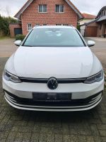 Golf VIII Variant 2l TDI mit 150PS -6d-Temp MODEL 2023. Nordrhein-Westfalen - Baesweiler Vorschau