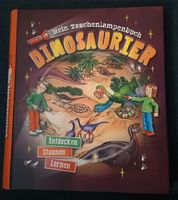 Taschenlampenbuch Dinosaurier Nordrhein-Westfalen - Siegen Vorschau