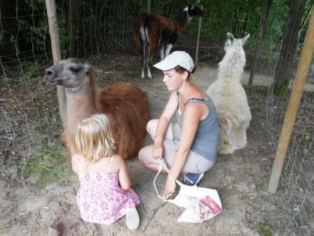 Ferien für Kinder mit Tieren: Lamas im Ruhrgebiet in Gelsenkirchen