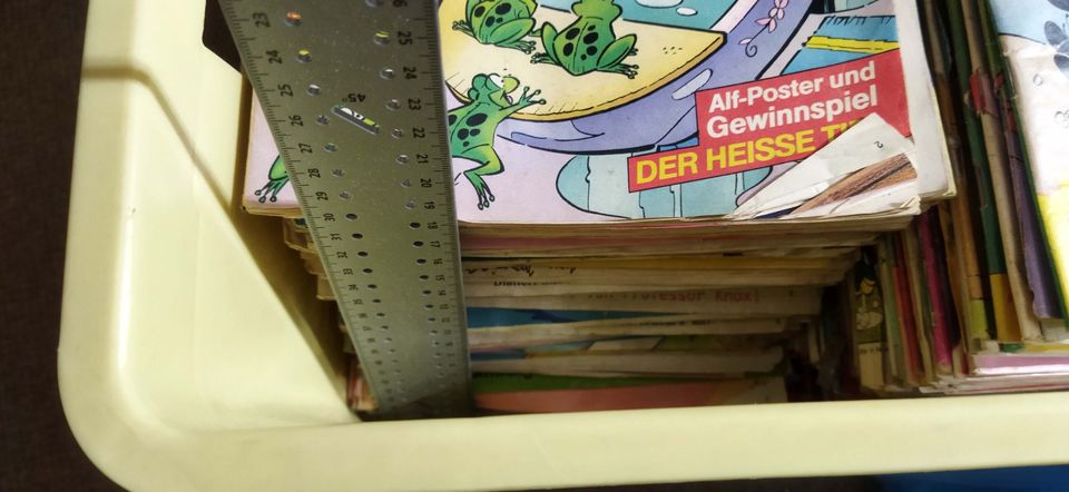 Lustige Taschenbücher, Donald Duck, Fix und Foxy in Braunschweig
