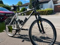 Steppenwolf Mountainbike Fahrrad Baden-Württemberg - Laudenbach Vorschau