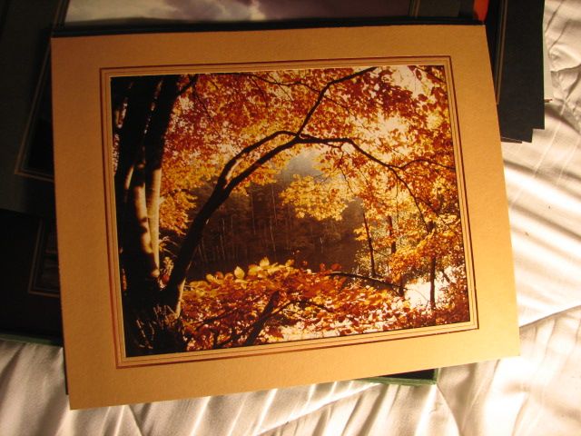 Foto Box Richard Stöbener Wasgau Photograph Natur Pfalz Trifels in Kirkel