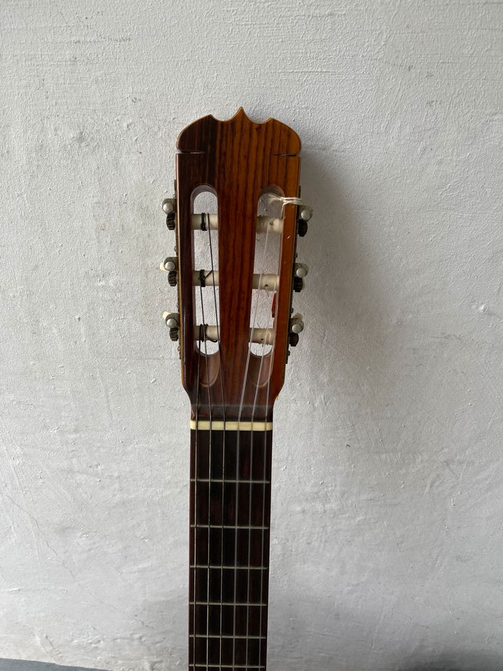 Aria vintage Akustikgitarre 551 in Herne