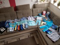 Sommerpaket größe 74/80 jungen Bekleidungspaket jungs Thüringen - Mühlhausen Vorschau