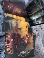 Bücher Sammlung Biss von Stephenie Meyer Twilight Saga Thüringen - Breitenworbis Vorschau