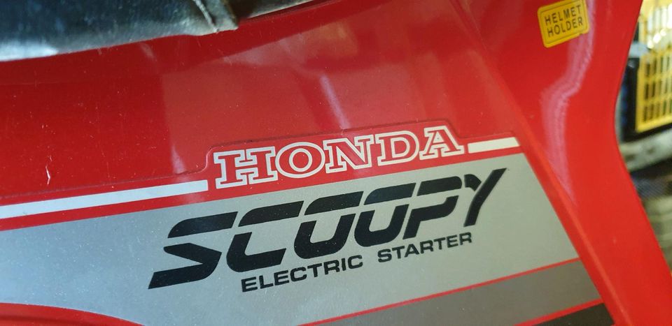 Honda Scoopy, Garagenfund in Volkertshausen