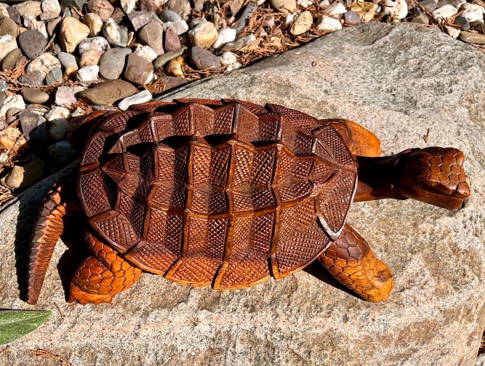 Schildkröte 30cm Landschildkröte Holzschildkröte Holz in Essen