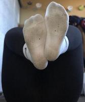 Socken grösse 36 Baden-Württemberg - Renningen Vorschau