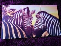 3-teiliges Zebrabild farbig Saarland - Blieskastel Vorschau