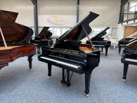 Steinway & Sons Flügel, Modell A-188, Bj. 2010, 5 J. Garantie Nordrhein-Westfalen - Swisttal Vorschau