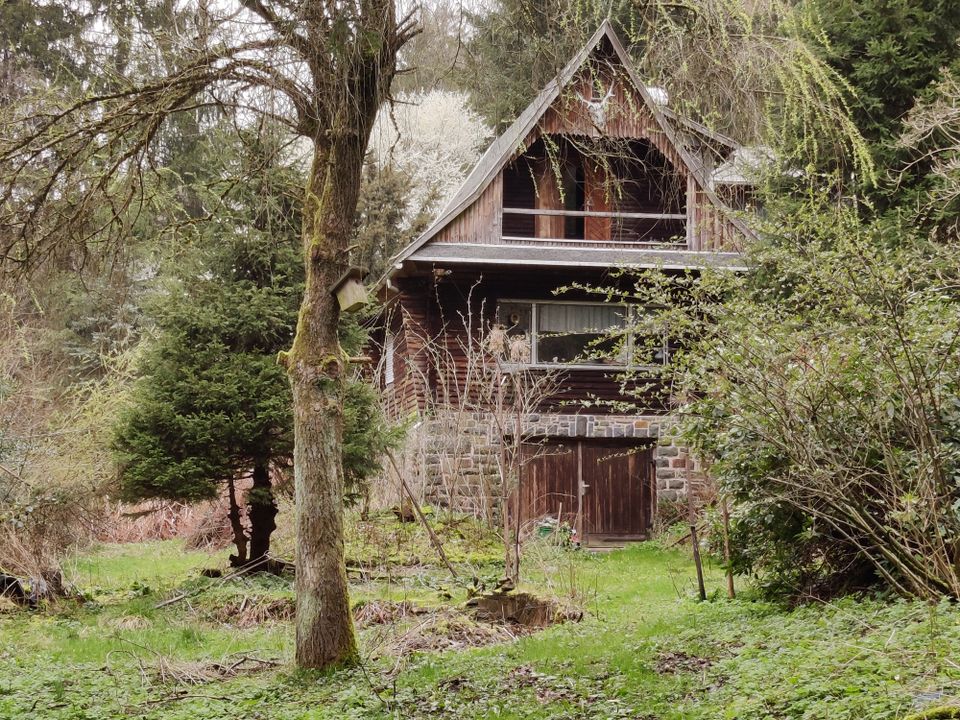 Großes naturbelassenes Grundstück in Sonneberg-Hüttensteinach in Sonneberg