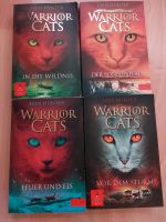 Warrior Cats Bayern - Saal an der Saale Vorschau