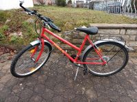Rotes Fahrrad Mountainbike 26 Zoll mit 18-Gang Shimano-Schaltung Baden-Württemberg - Hüttlingen Vorschau