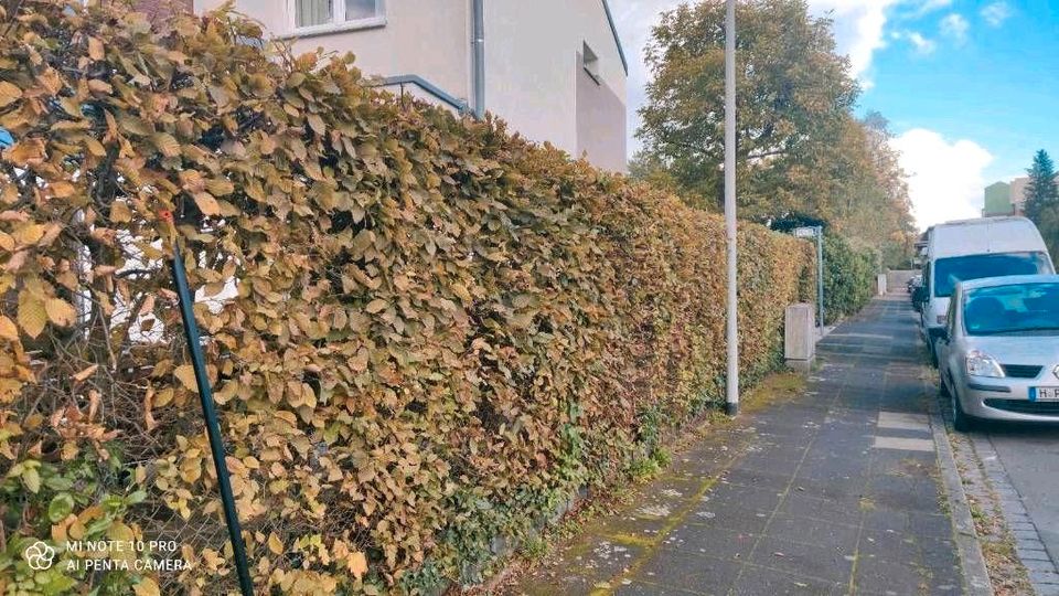 TURAN  Gartenpflege für Privat und Gewerblich in Hannover