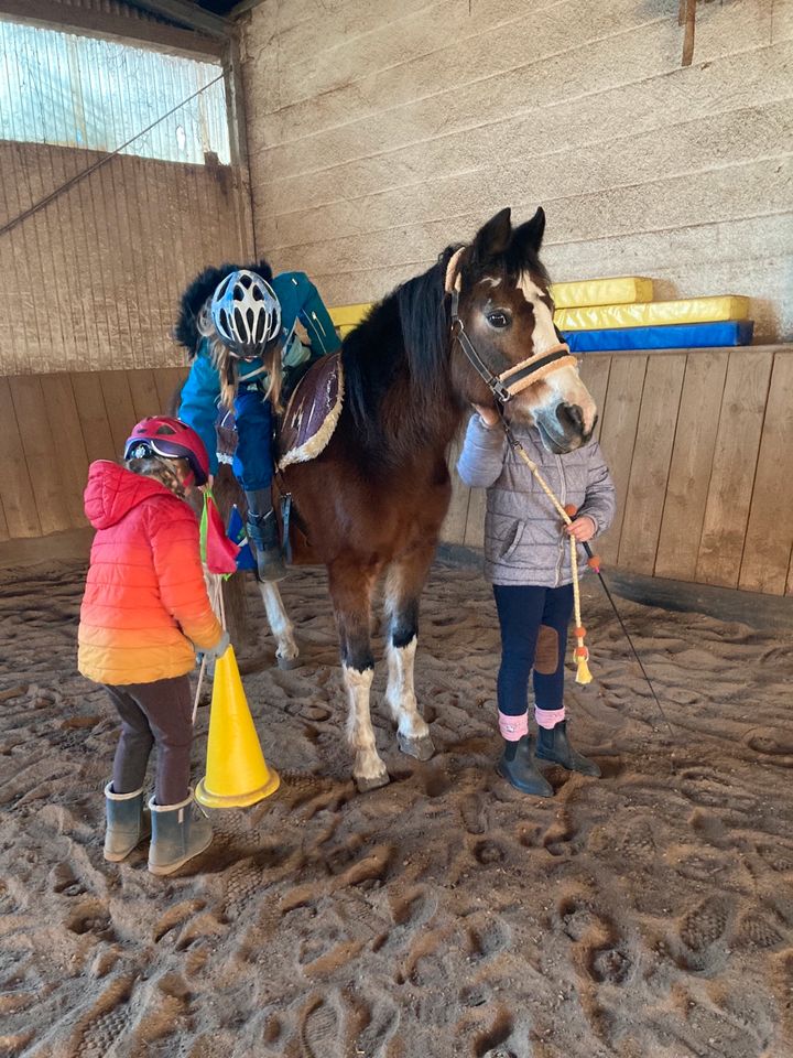 Kinderreiten /Reitunterricht für Kinder / Hippolini in Freiburg im Breisgau