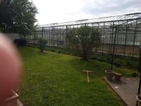 Hilfe bei Erweiterung unserer Gartenmauer Niedersachsen - Winsen (Luhe) Vorschau