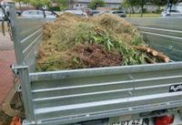 Entsorgung von Gartenabfällen, Kompost, Astschnitt, Rasen Mecklenburg-Vorpommern - Usedom Vorschau