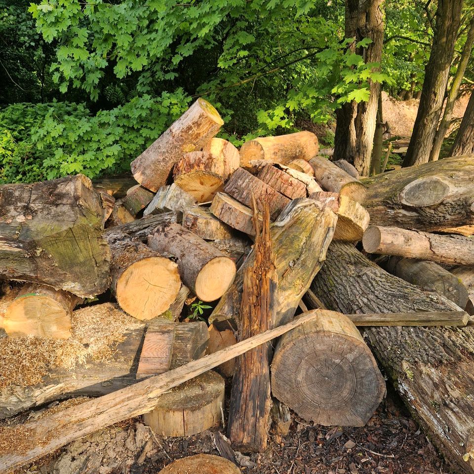 Brennholz zu verkaufen in Bad Essen