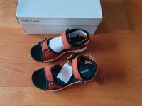 Geox Sandalen, Trekkingsandalen, neu, Größe 35 Bayern - Plattling Vorschau