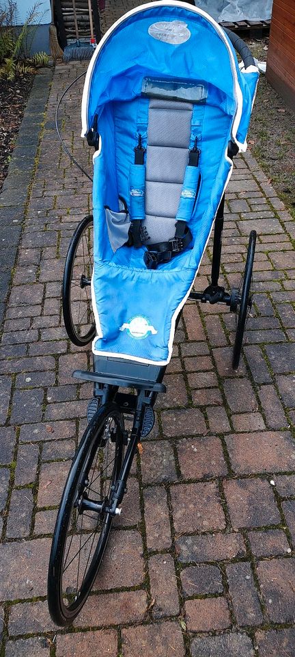 Baby Jogger Buggy in Meiningen