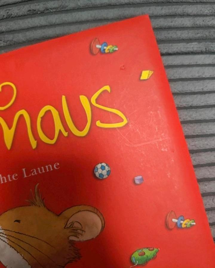 Lingoli Leo Lausemaus hat schlechte Laune Buch Kinderbuch in Wiesbaden