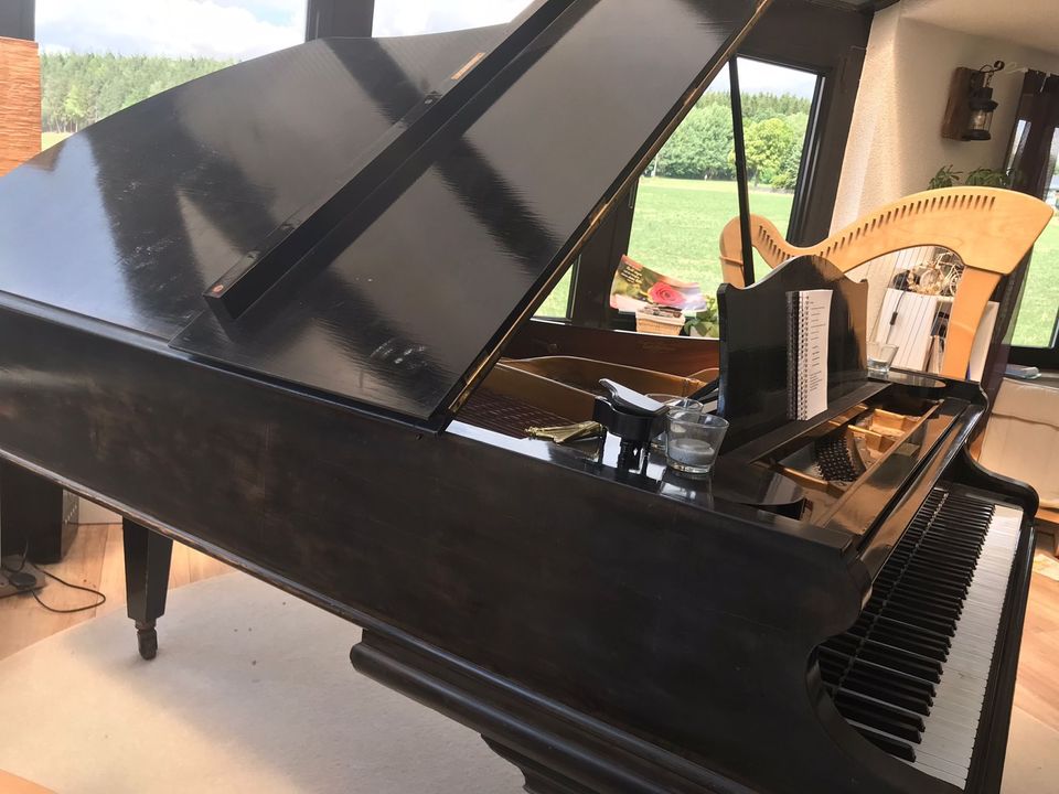 Bechstein Flügel von 1900 in Auerbach (Vogtland)