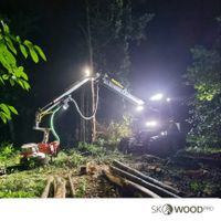 Forstdienstleistung Holzeinschlag Forstarbeiten Waldarbeiten Niedersachsen - Uelzen Vorschau