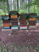 Bienenvölker aus gesundheitlichen Gründen zu verkaufen Baden-Württemberg - Lauchheim Vorschau