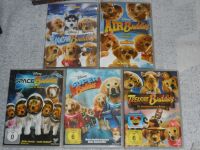 BUDDIES DVD - Disney - Hunde - Space - Air -Super -Snow -Treasure Rheinland-Pfalz - Ludwigshafen Vorschau
