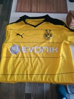 BVB Dortmund Reus 2 Trikots 1 BVB Hose Dortmund - Aplerbeck Vorschau