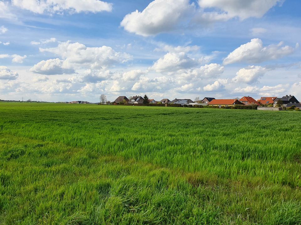 Familienleben auf einer Ebene im kommenden Baugeb. in Barmke. in Helmstedt