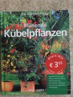Blühende Kübelpflanzen Bonn - Ippendorf Vorschau