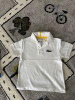 Kinder lacoste Polo t Shirt 104 Saarland - Homburg Vorschau