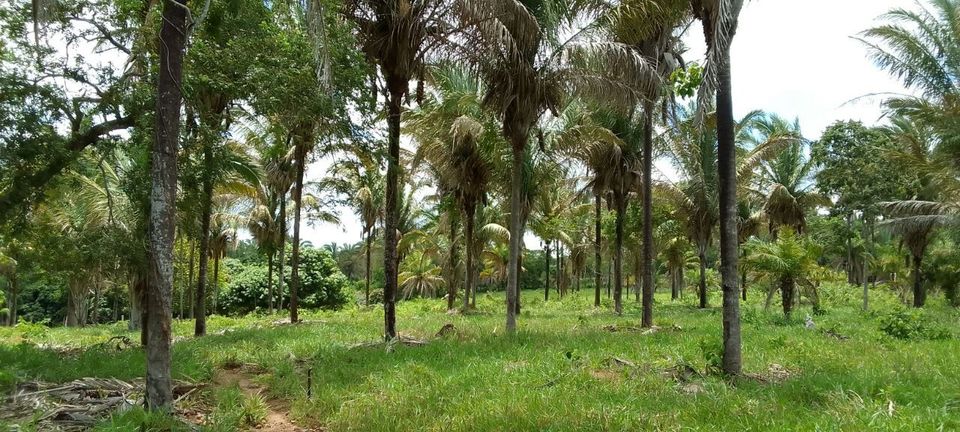 Auswandern Bolivien in Schönhorst