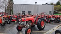 Massey Ferguson 175 Wuppertal - Heckinghausen Vorschau