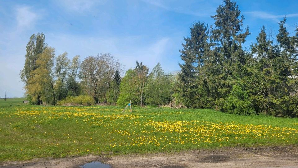 Mehrfamilienhaus 5 Wohneinheiten Gustebin Ostsee in Lubmin