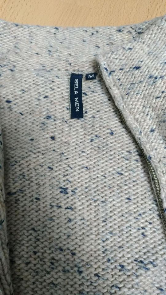 Herren Pullover Gr.M in Lohne (Oldenburg)