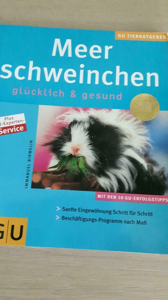 Meerschweinchen-Buch in Tiefenbach Kr Passau