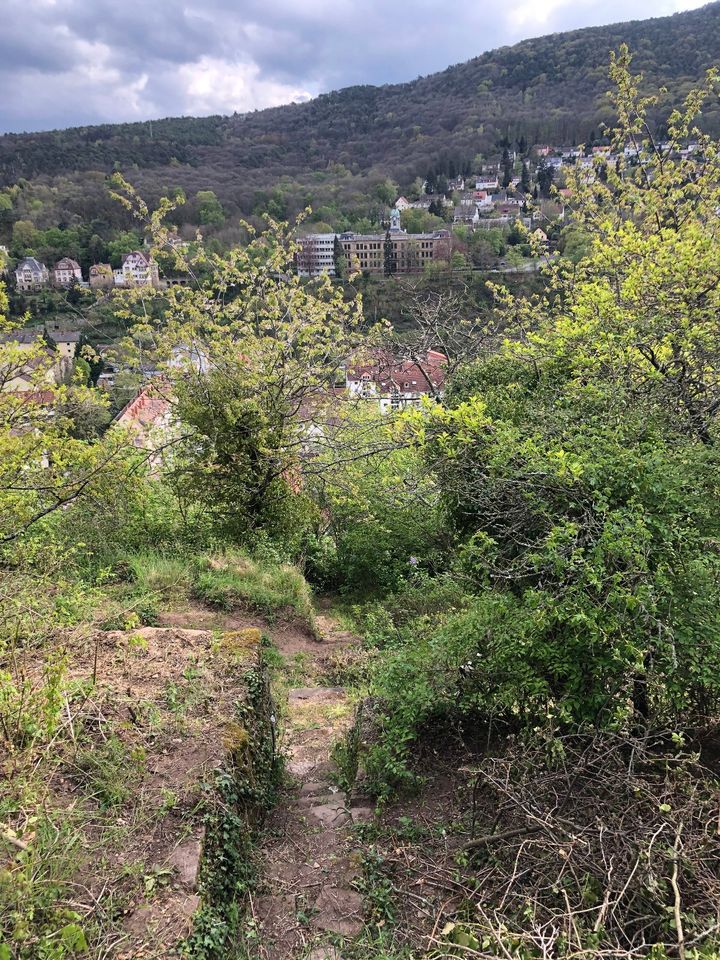Freizeitgrundstück in Hanglage am Sonnenweg, 1.171 m² in Neustadt in