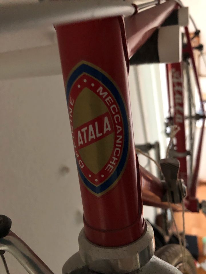 Atala ital. Vintage Retro Rennrad Camagnolo, Mavic in Berlin