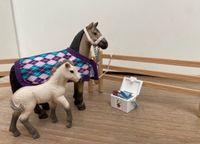 Schleich - Kleines Tierarzt Set mit Mutter und Fohlen Schleswig-Holstein - Lübeck Vorschau