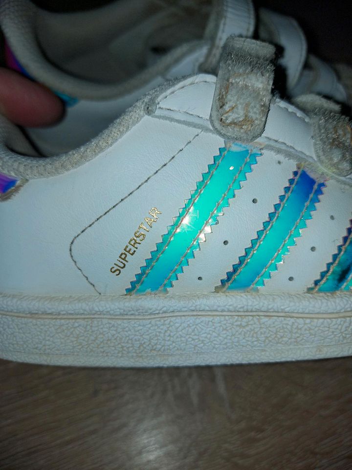 Adidas Kinder Sneaker Superstar Gr. 27 in Torgelow