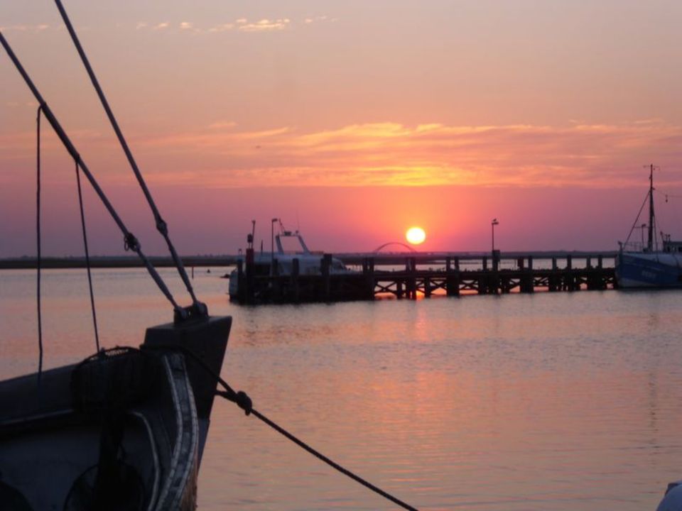 Ferienwohnung an der Ostsee - Auszeit in Heiligenhafen in Heiligenhafen 