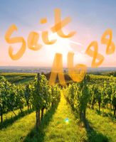 Weinbau - Pflanzrechte - Rheinhessen zu verkaufen Rheinland-Pfalz - Mainz Vorschau