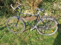 Fahrrad Herren / Trekkingrad 28 Zoll Max Cycle Alu-Rahmen Wuppertal - Barmen Vorschau