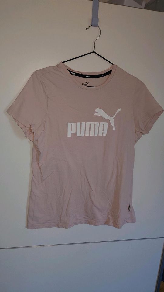 Puma T-Shirt in Sassenberg