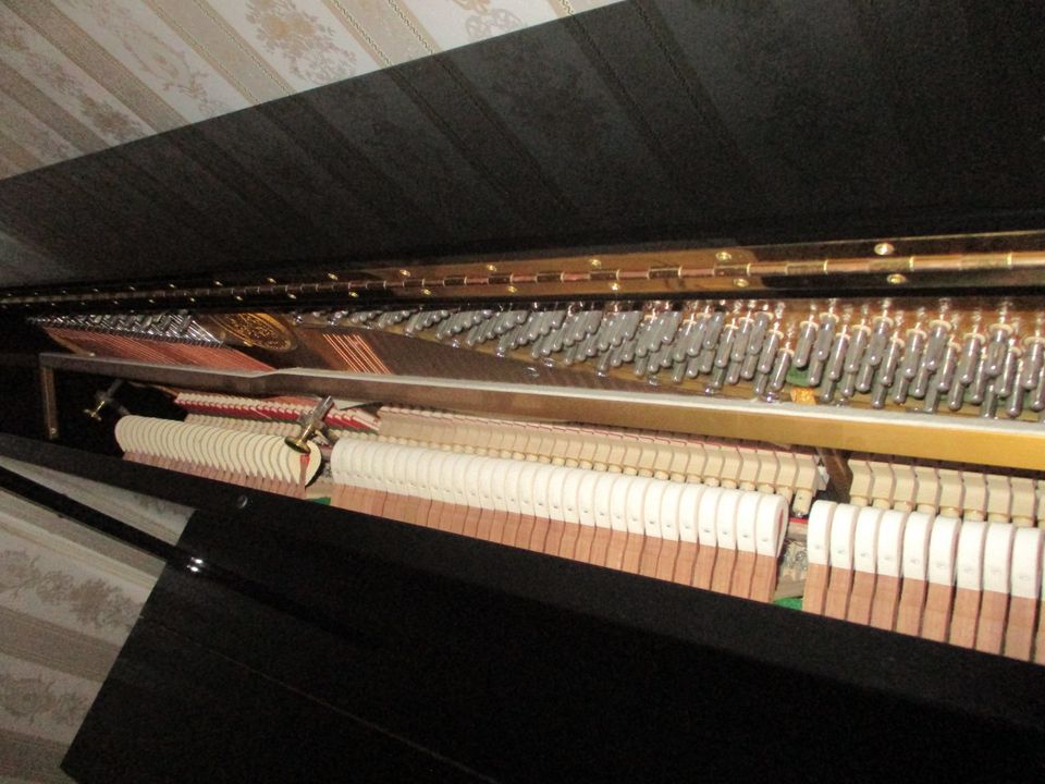 Piano/Klavier - Made by C. Bechstein, Berlin - perfekter Zustand in Kirkel