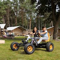 BERG Duo Coaster E-BFR Zweier Elektro Go Kart Gokart 07.47.00.00 Neumünster - Tasdorf Vorschau